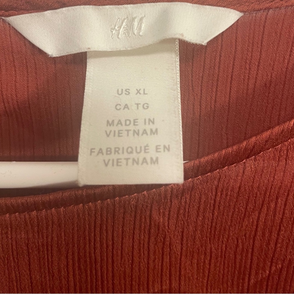 H&M Rust Blouse - Picture 3 of 4